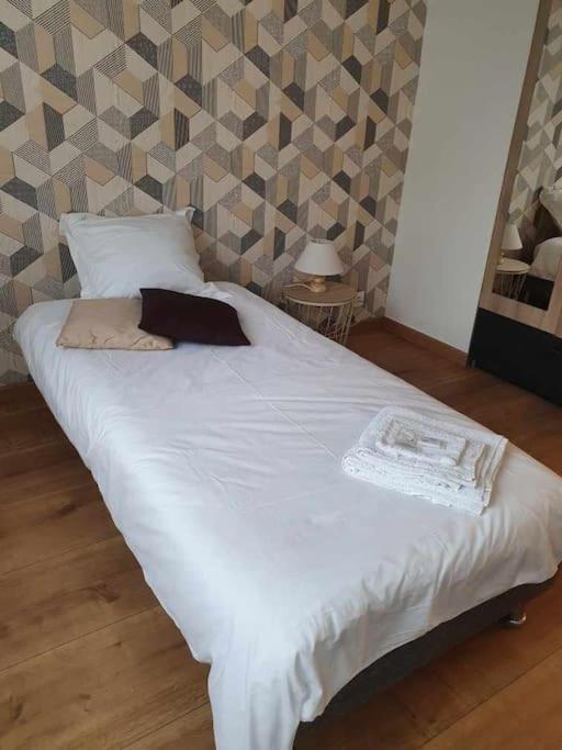 Apartment Raffinement Proche Centre Grenoble